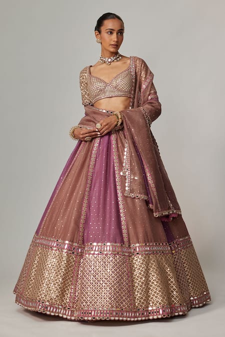 Vvani by Vani Vats Multi Color Organza, Georgette Sequins, Gota Mud Mauve Multicolor Lehenga Set 