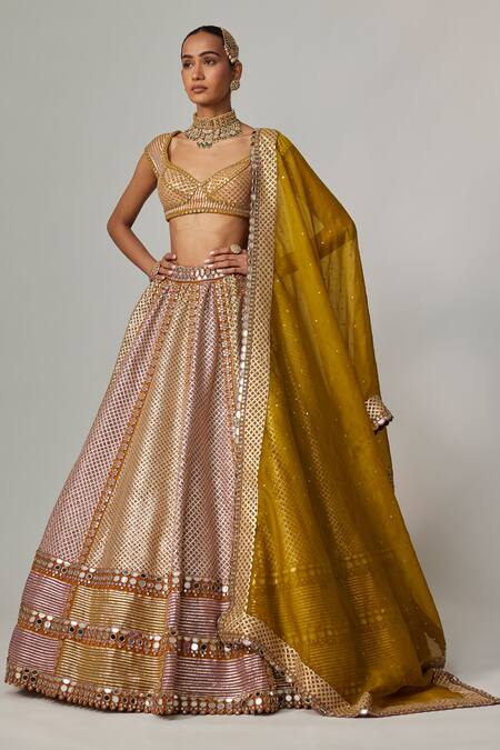 Vvani By Vani Vats_Multi Color Georgette, Organza Sequins, Gota Mustard Heavy Metallic Lehenga Set _Online_at_Aza_Fashions