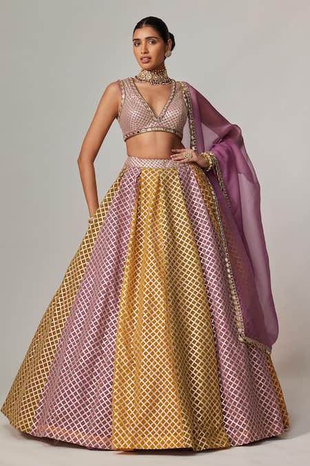 Vvani by Vani Vats Multi Color Georgette, Organza Gota Patti Multicolor Lehenga Set With Dupatta 