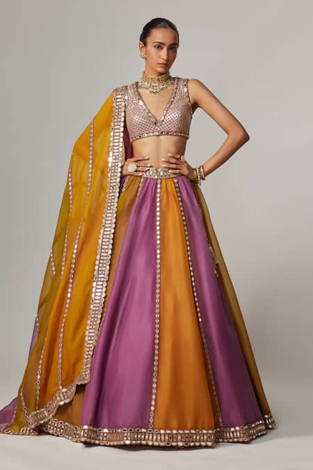 Vvani by Vani Vats Multi Color Organza, Georgette Gota Patti V-neck Multicolor Linear Lehenga Set 