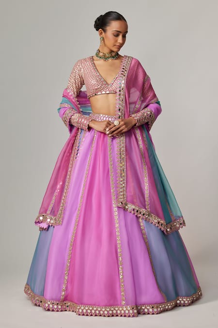 Vvani by Vani Vats Mauve Multicolor Linear Lehenga Set 