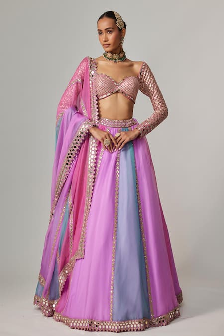 Vvani by Vani Vats Multi Color Organza, Georgette Gota Patti Mauve Multicolor Linear Lehenga Set 