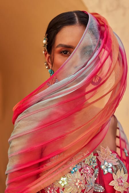 Buy_Label Moni K_Pink Organza, Georgette Applique, Sequins, Multi Color Fusion Style Kurta Set _Online_at_Aza_Fashions