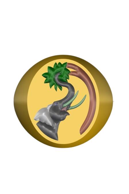 MAALICIOUS JEWELRY_Gold Plated Elephant Enamel Ring _Online_at_Aza_Fashions