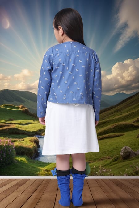 Petite Pomme Offwhite & Blue Designer Dress & Jacket Set 