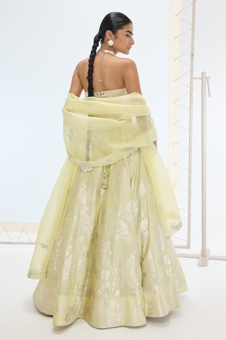 Ekaya Banaras Pista Handwoven Silk Lehenga Set 