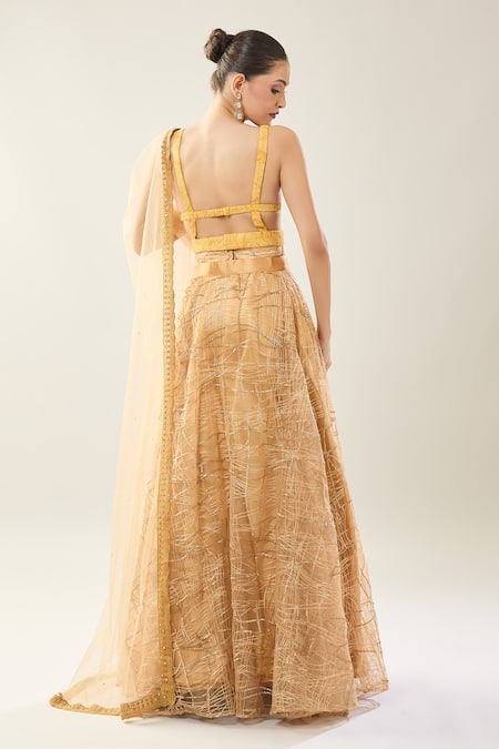 Samyukta Singhania Yellow Net Lehenga Set with Dupatta 