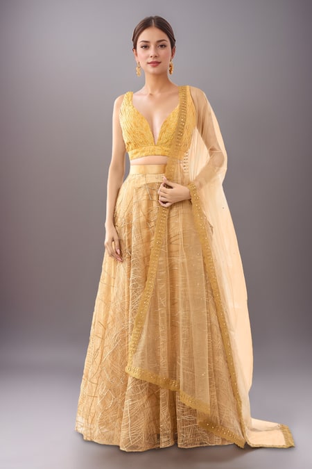 Samyukta Singhania Yellow Net Lehenga Set with Dupatta 