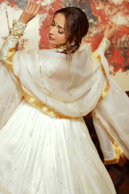 Surily G Ivory Gota Embroidered Organza Dupatta 