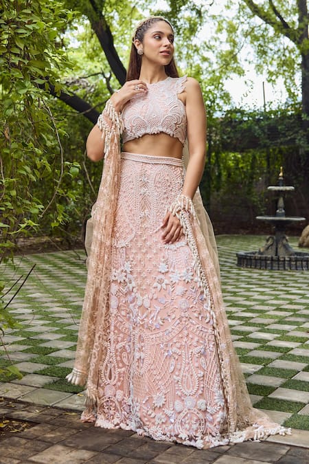 Mehul Gupta Ivory Net, Lycra Embroidery, Tassels Round Neck And Pink Hand Lehenga Set