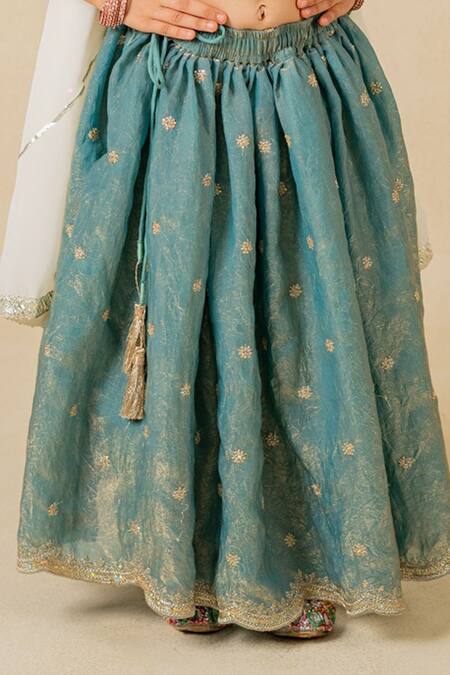 Shop_JILMIL DREAMWEAR_Blue Tissue Embroidery Fendy Crush Lehenga Set _Online_at_Aza_Fashions