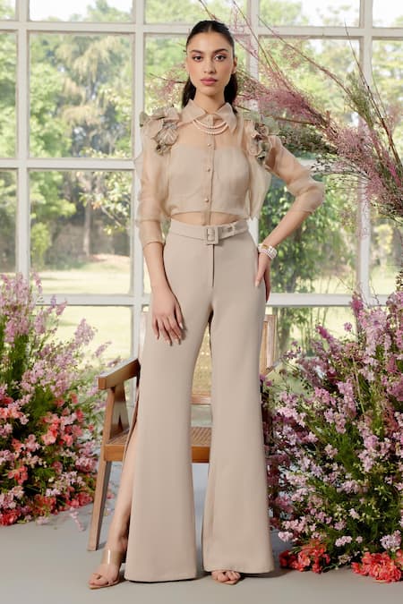 Parul And Preyanka Beige Silk Organza, Crepe Applique Collared Floral Shirt And Pant Set 