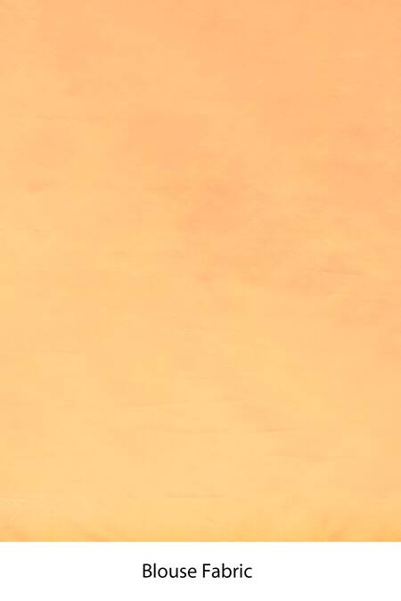 Naaritva India_Orange Zari Handwoven Work Banarasi Saree With Running Blouse _Online_at_Aza_Fashions