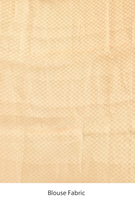 Shop_Naaritva India_Green Tissue Zari Handwoven Banarasi Saree With Running Blouse _Online_at_Aza_Fashions