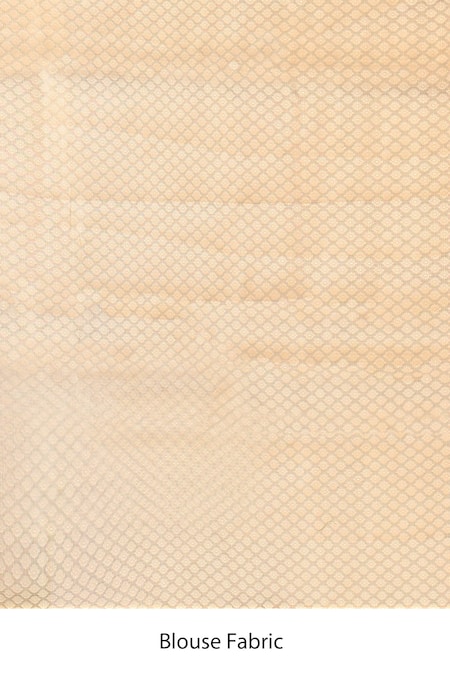 Shop_Naaritva India_Gray Tissue Zari Handwoven Grey Banarasi Saree With Running Blouse _Online_at_Aza_Fashions