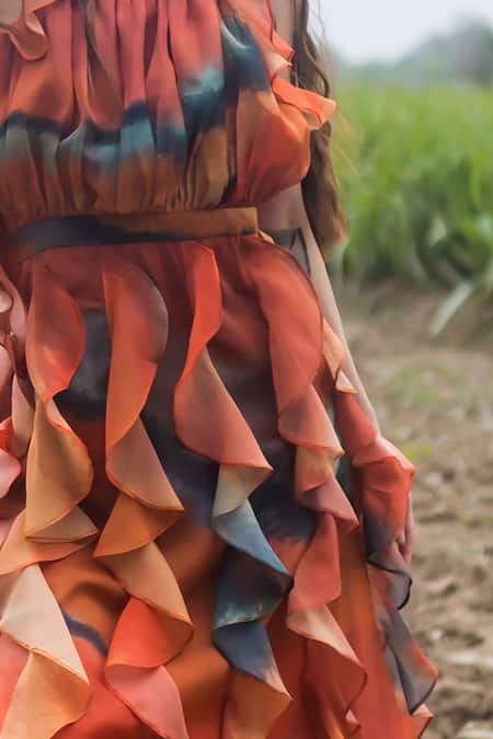 Gazab by Miku Kumar_Red Organza Multi Color Ruffled Maxi Dress _Online_at_Aza_Fashions