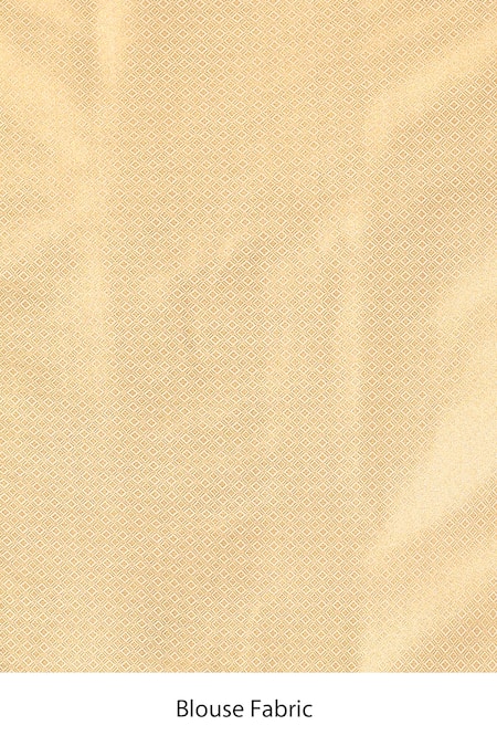 Shop_Samyukta Singhania_White Flower Banarasi Silk Saree With Running Blouse _Online_at_Aza_Fashions