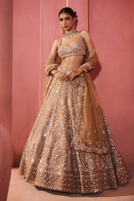 Aneesh Agarwaal Gold Silk Organza, Net Sequins, Embroidery Sweetheart Embellished Lehenga Set 