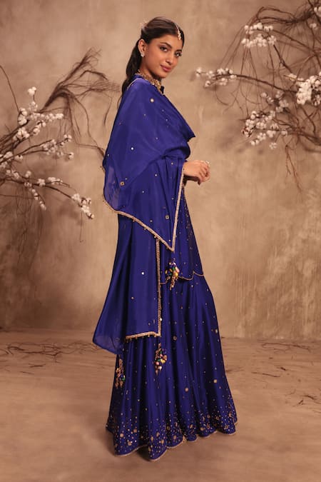 Label Niti Bothra_Blue Silk Mirrors, Tassels, Zari Round Neck Embroidered Sharara Set _Online_at_Aza_Fashions