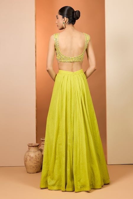 Neha Khullar Olive Yellow Banarasi Chanderi Lehenga Set 
