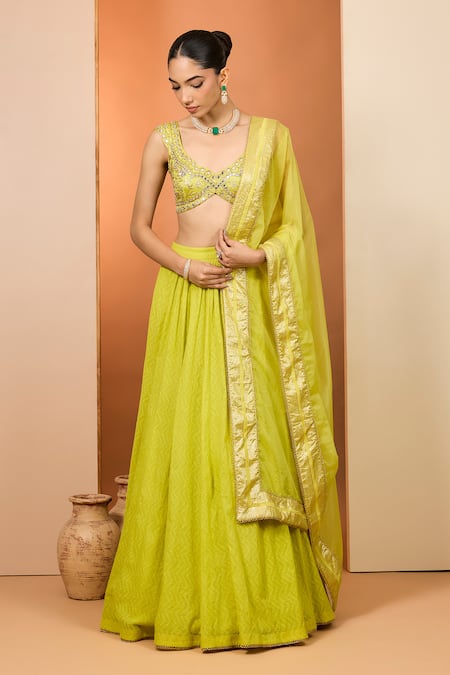 Neha Khullar Yellow Organza Mirrors, Zari Plunge Neck Olive Banarasi Chanderi Lehenga Set 