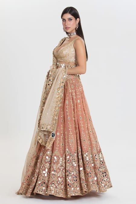 Abhinav Mishra_Peach Net, Chanderi, Organza Mirrors, Old Charm Blush Embroidered Lehenga Set _at_Aza_Fashions