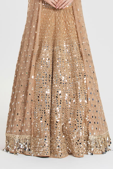 Abhinav Mishra_Gold Net Mirrors, Zari, Sequins Plunge Neck, Pukhraj Embroidered Lehenga Set _at_Aza_Fashions