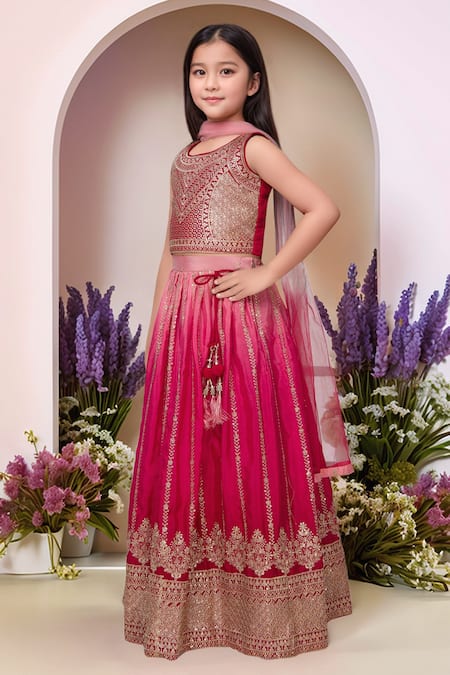 Petite Pomme_Pink Polyester, Net Sequins, Embroidery Rani Lehenga Set_Online_at_Aza_Fashions
