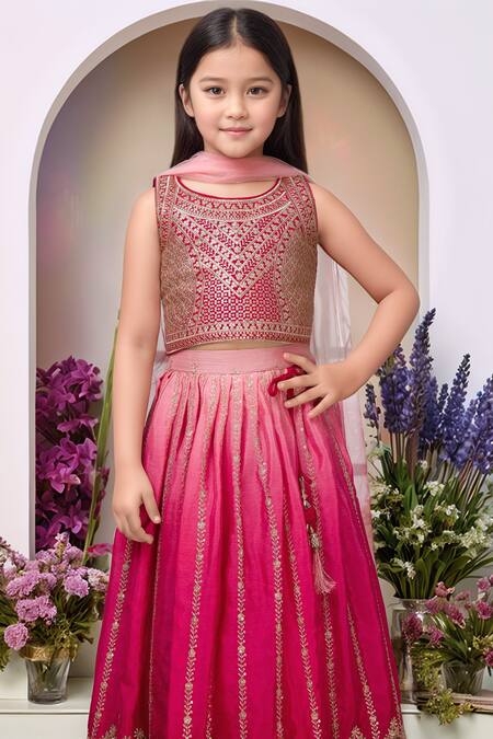Shop_Petite Pomme_Pink Polyester, Net Sequins, Embroidery Rani Lehenga Set_Online_at_Aza_Fashions