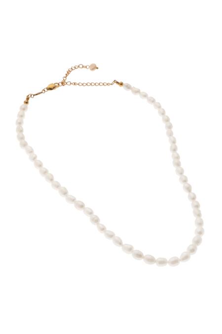 Dusala_Gold Plated Clavicale Pearl Grace Necklace _Online_at_Aza_Fashions