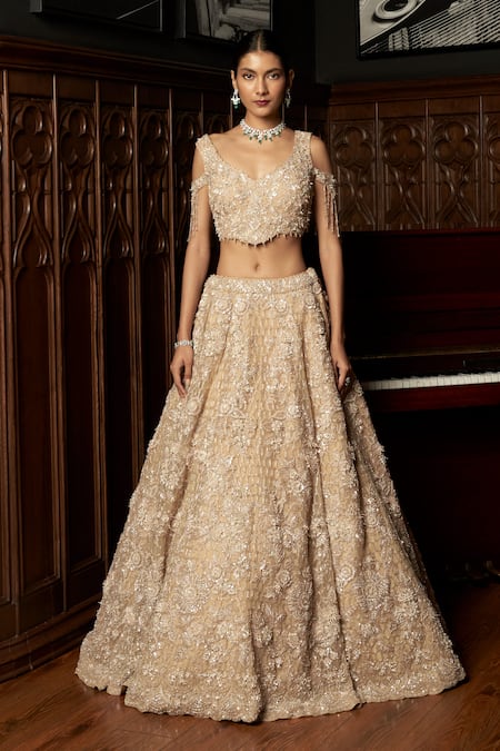 Istya_Beige Net Embroidery, Sequins, Beads Scoop Neck Embellished Lehenga Set _at_Aza_Fashions