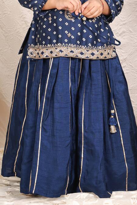 P & S CO_Blue Chanderi Zari, Gota Patti Embroidered Kurta With Pant _Online_at_Aza_Fashions