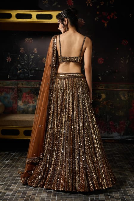 Diyarajvvir Embellished Lehenga Set 