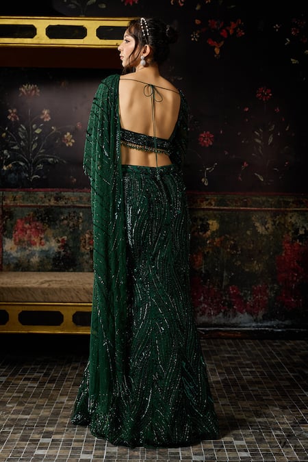 Diyarajvvir Pre-Draped Mermaid Saree & Embellished Blouse Set 