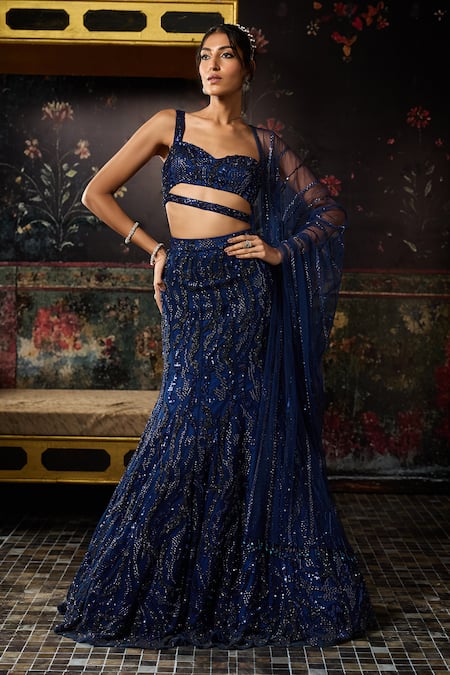 Diyarajvvir Blue Tulle, Satin Sequins, Beads Asymmetric Embellished Mermaid Skirt Set