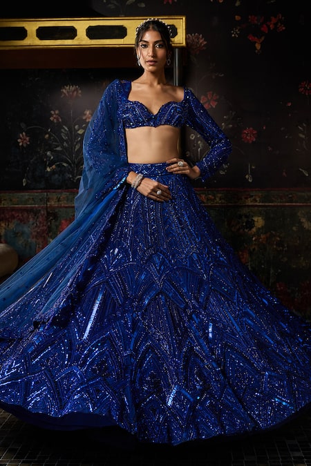 Diyarajvvir Blue Tulle Sequins Sweetheart Neck Tonal Embellished Lehenga Set