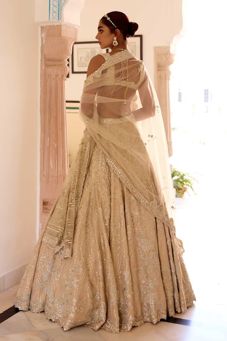 Osaa By Adarsh Frost Champagne Jaal Embroidered Lehenga Set 