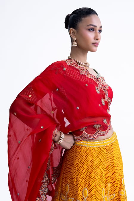 Naina Jain_Yellow Silk, Organza Zari, Embroidery Round Neck Ekam And Red Lehenga Set _Online_at_Aza_Fashions