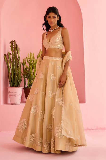 Chamee And Palak_Beige Organza, Silk Embroidery Sweetheart Neck Adah Rose Embellished Lehenga Set _Online_at_Aza_Fashions