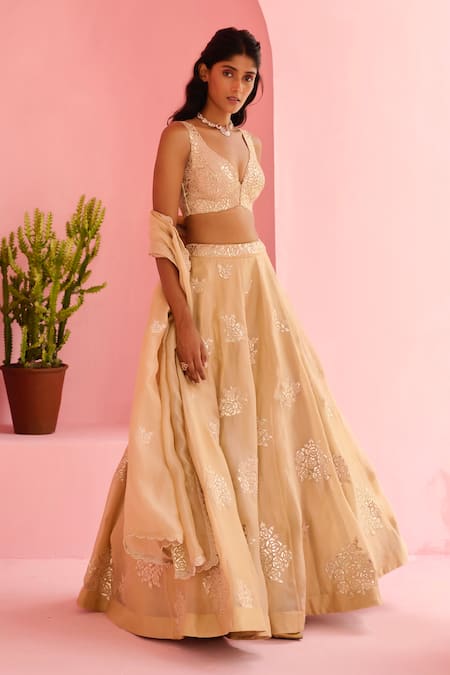 Buy_Chamee And Palak_Beige Organza, Silk Embroidery Sweetheart Neck Adah Rose Embellished Lehenga Set _Online_at_Aza_Fashions