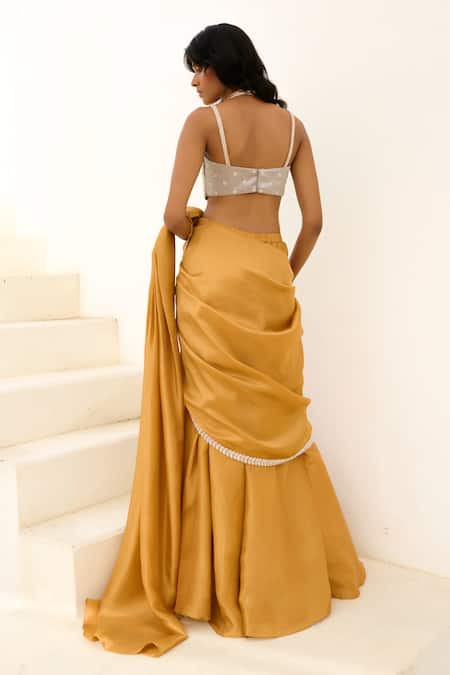 Chamee And Palak Manya Embroidered Blouse & Pre-Draped Saree Set