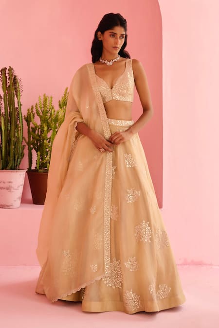 Chamee And Palak Beige Organza, Silk Embroidery Sweetheart Neck Adah Rose Embellished Lehenga Set 