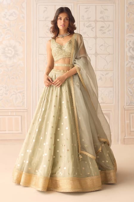 Shyam Narayan Prasad Green Organza, Brocade Zari, Embroidery Scoop Neck Polka Dot Woven Lehenga Set