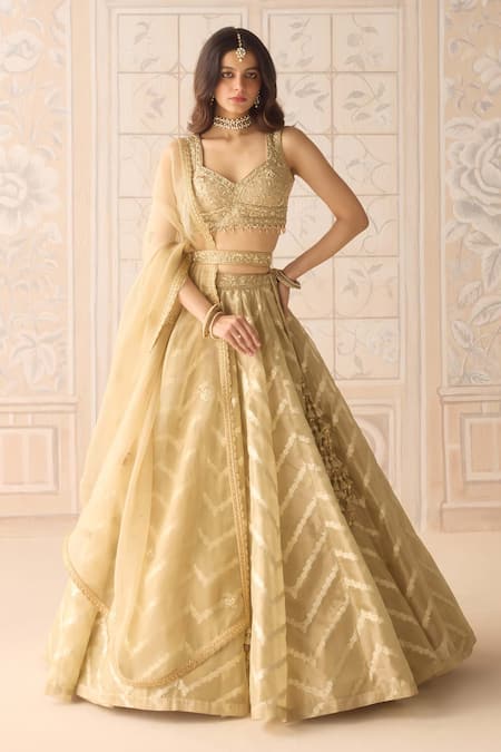 Shyam Narayan Prasad Gold Tissue, Organza, Brocade Zari, Embroidery, Chevron Pattern Lehenga Set