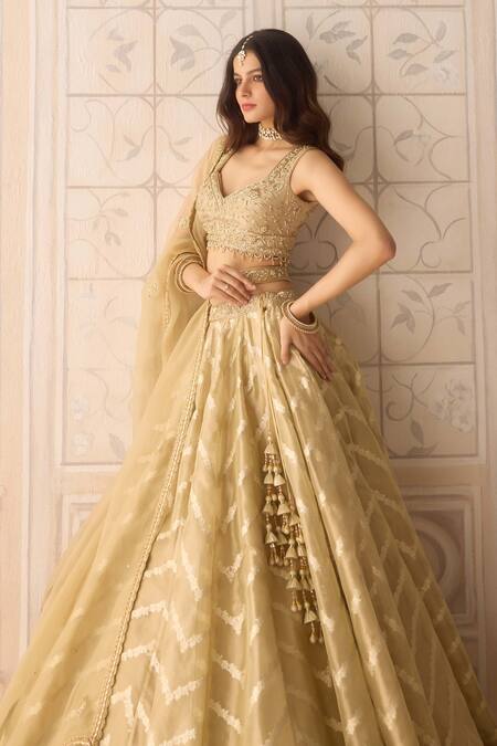 Shyam Narayan Prasad_Gold Tissue, Organza, Brocade Zari, Embroidery, Chevron Pattern Lehenga Set _at_Aza_Fashions