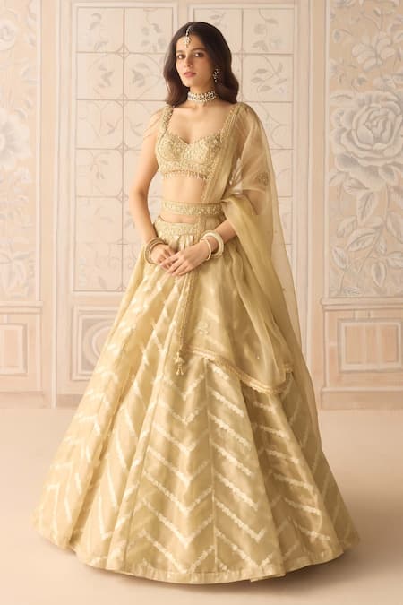 Shyam Narayan Prasad Gold Organza, Brocade, Tissue Embroidery, Zari, Beads, Zig Zag Woven Lehenga Set
