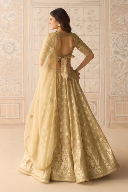 Shyam Narayan Prasad Floral Stripe Woven Lehenga Set 