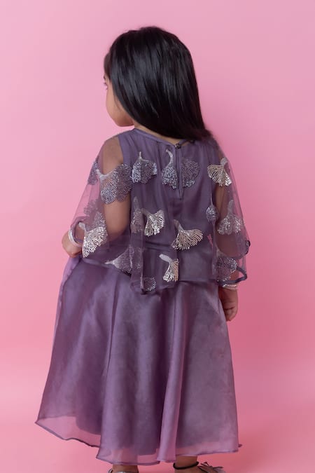 Minikin Organza Skirt With Embroidered Top 