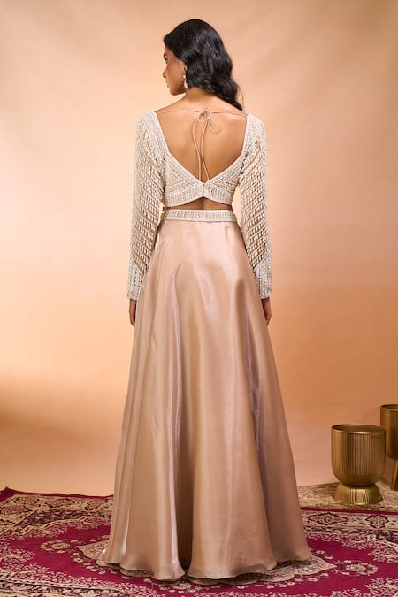 Alaya Advani Hand Embroidered Blouse Lehenga Set 