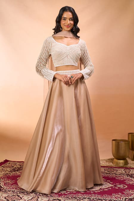 Alaya Advani Hand Embroidered Blouse Lehenga Set 